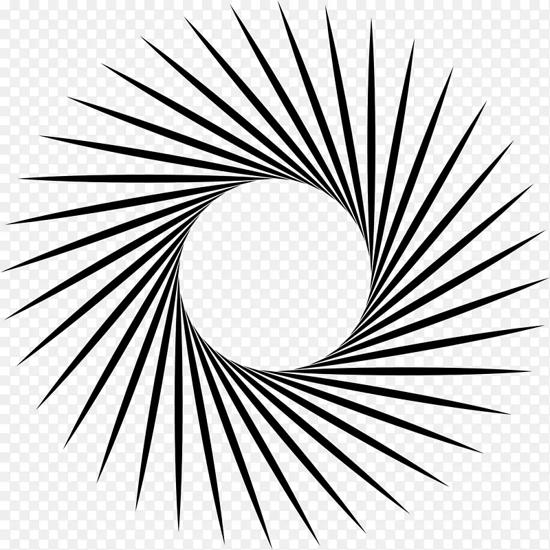 ��ɫ����-������