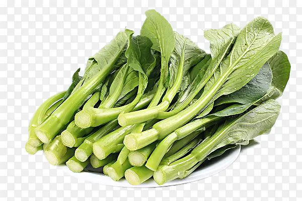 �Ͳ˲��Ĳ�Ʒʵ��-������