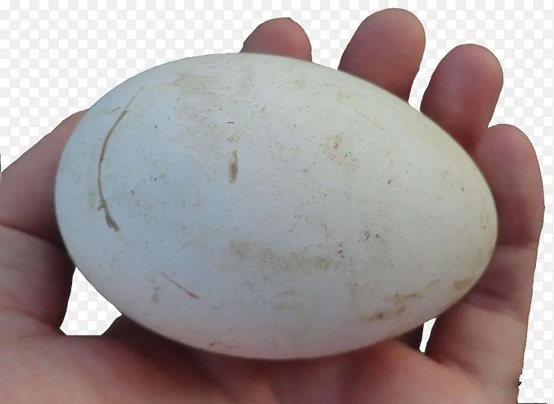 ���ô�쵰-������