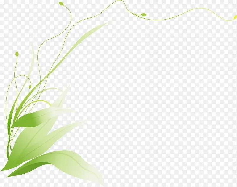 ��ɫ��������-������