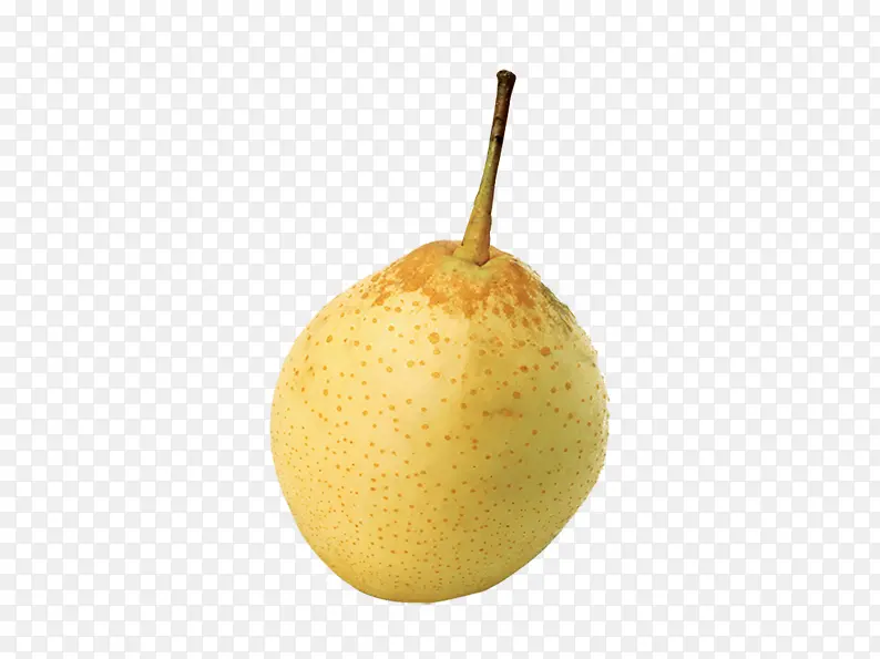 �ɰ���Ѽ��-������