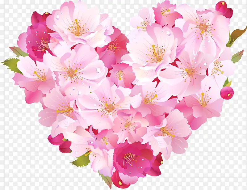 �����һ��ز�-������