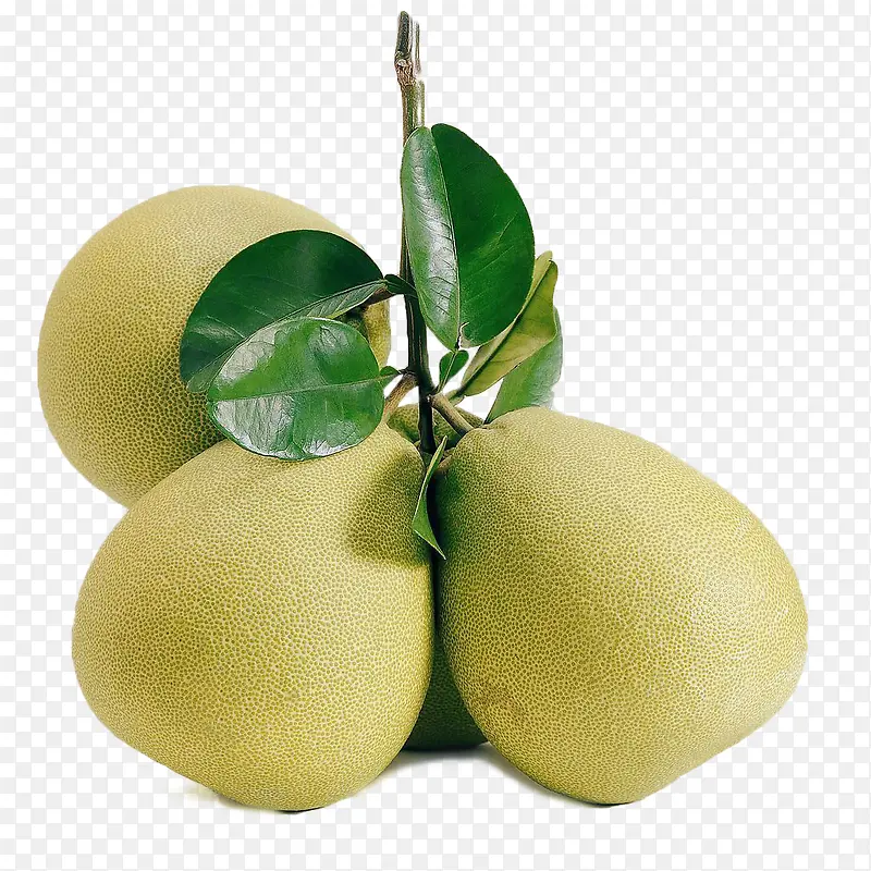 ɳ����PNG�ز�-������