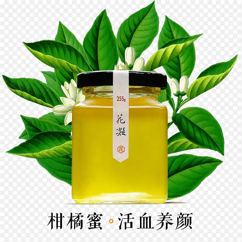 ����Ȼ����������ز�-������