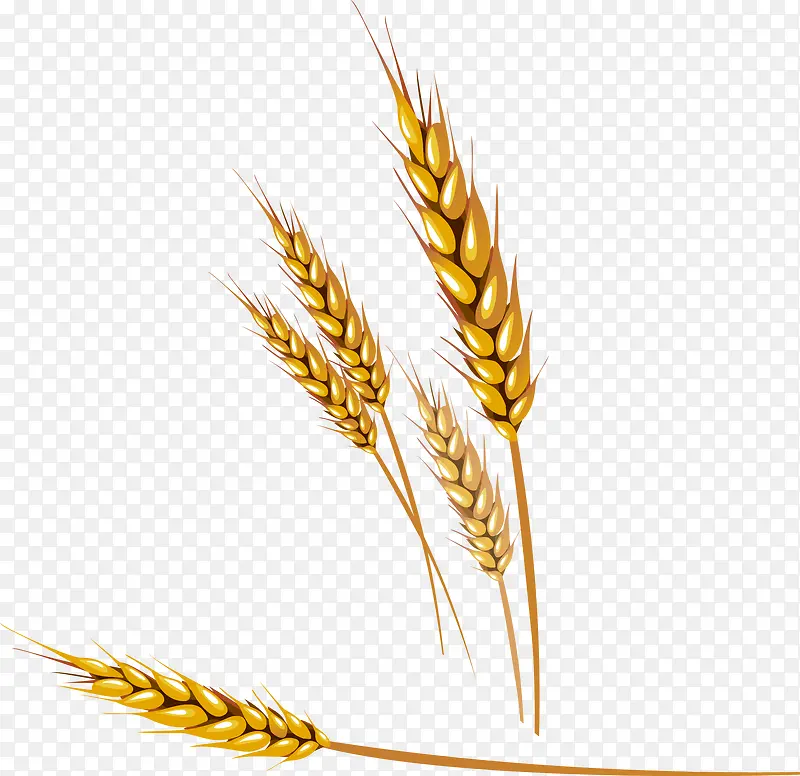 �����ֻ�-������