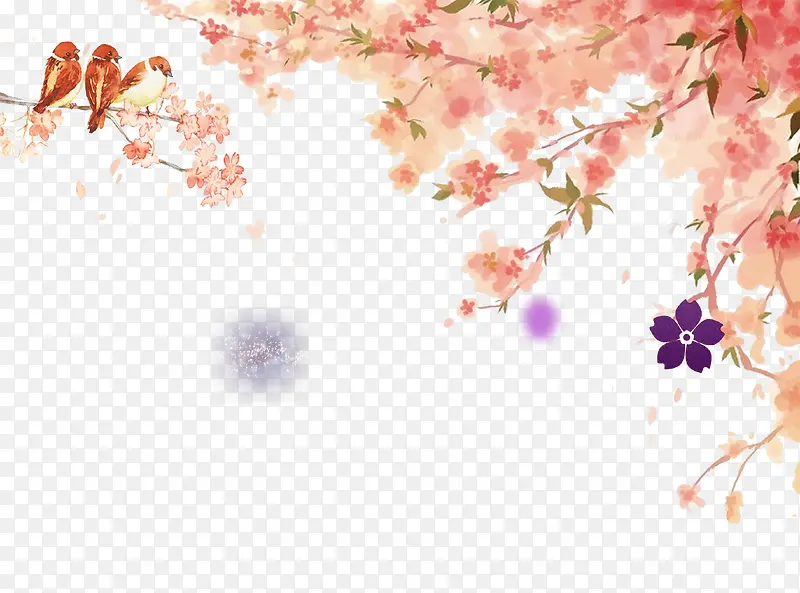 ��ͨӣ����֦-������