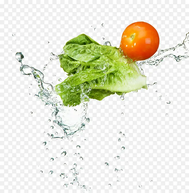 �����߲�-������