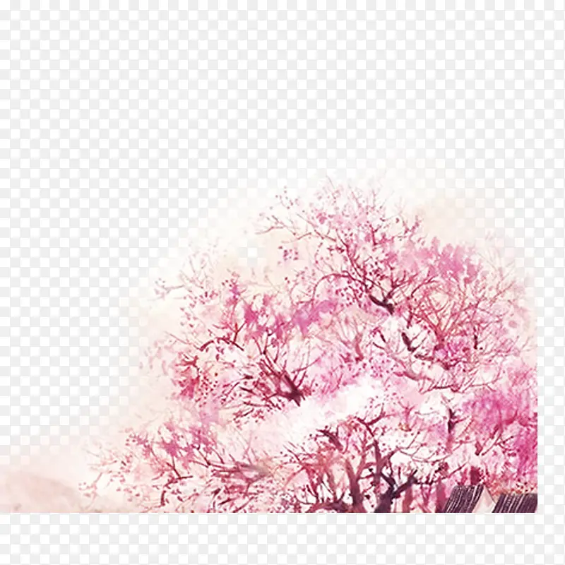 ��ɫӣ����-������