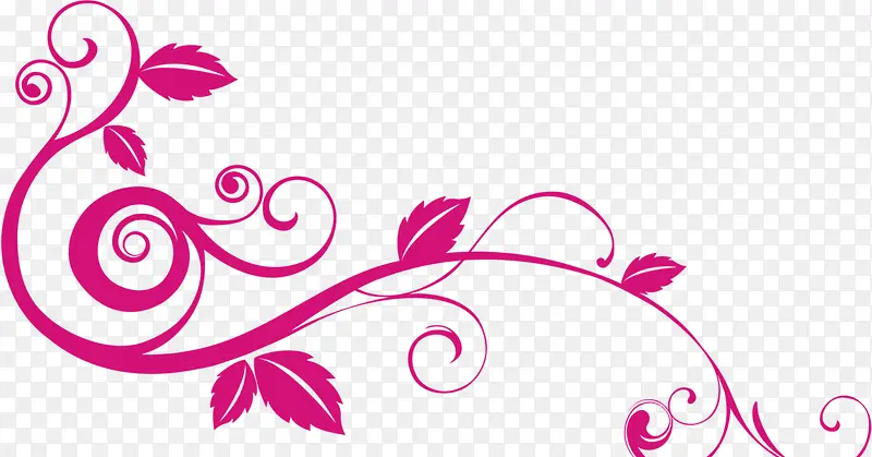 ��ɫ��ͨ�ֻ澫����֦����-������