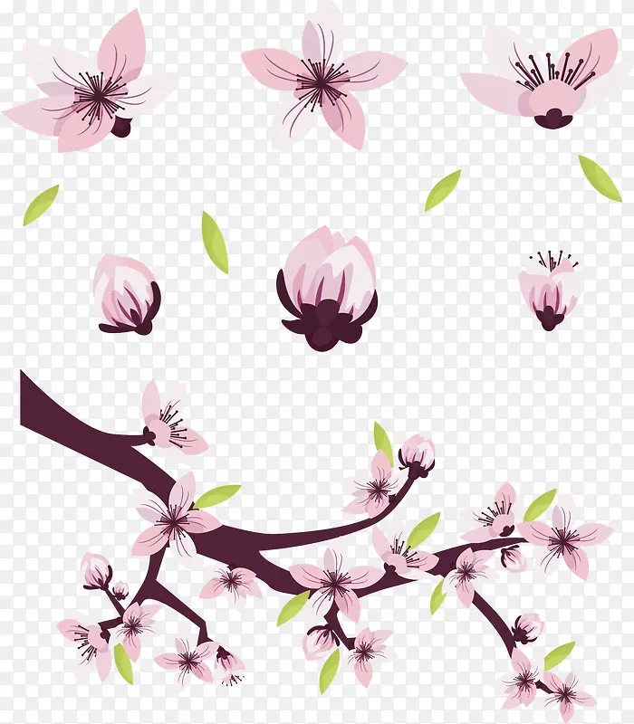 �����ۺ�ӣ����֦-������