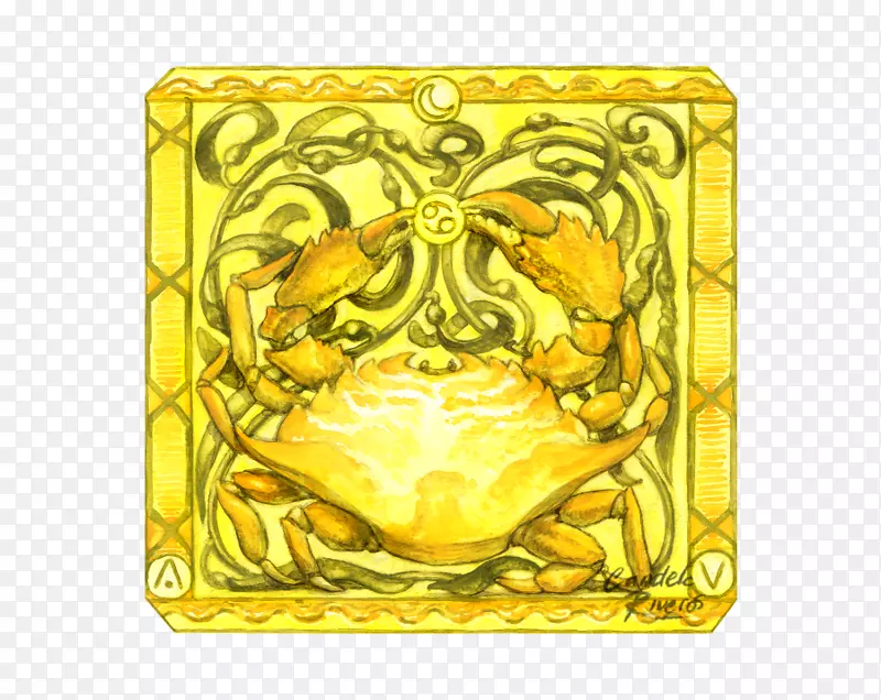 ���ﳤ���ζ���ͼ��-��֢ռ����-������