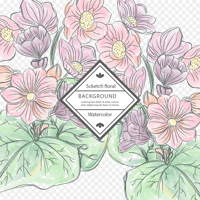 �ʻ���������-������