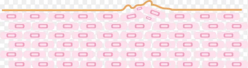 ��ͨƤ��ƽ��ʸ��-������