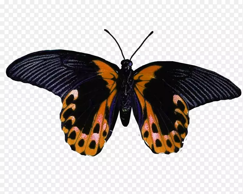 ���������������-����-������