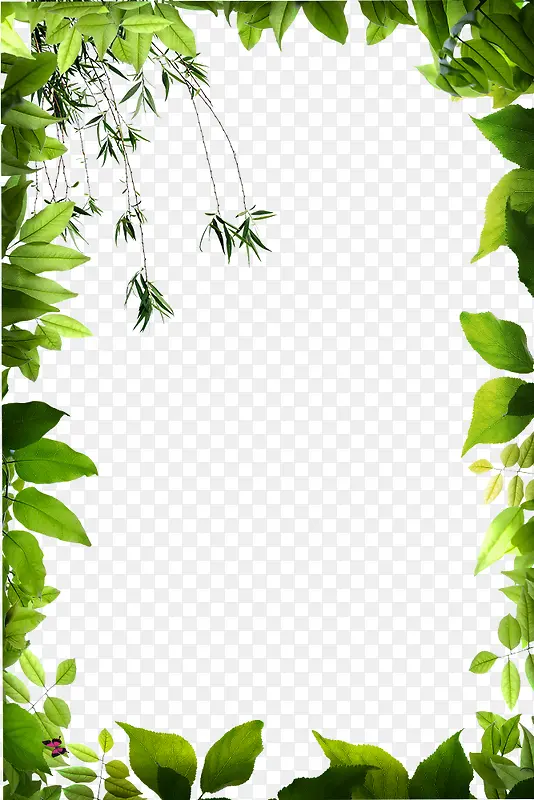 �ֻ���ɫ������Ҷ�߿�-������