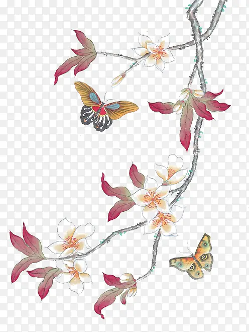 ˮī����֦����ҽԺ-������