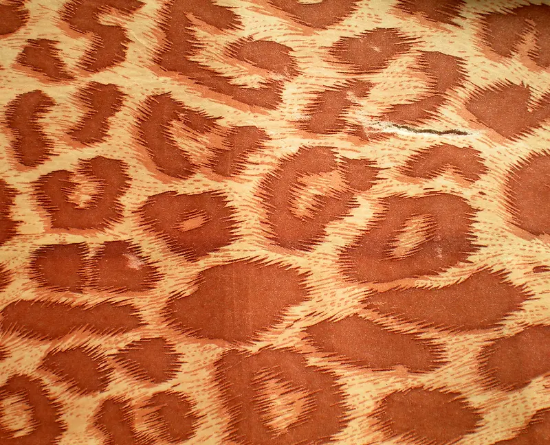 ��ɫ���Ʊ���-������