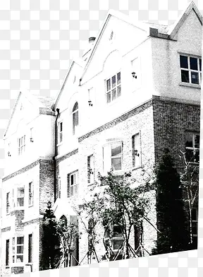 ��ɫ�����Ա�����-������