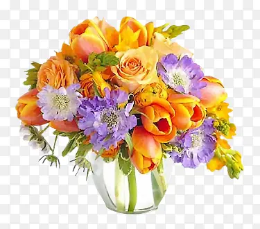 ���͸����ɫ����-������