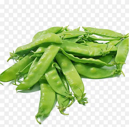 �����ļ�÷�߲�-������