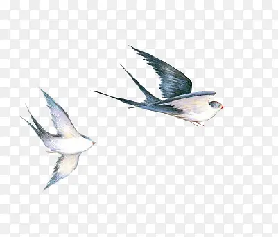 ˮ�ʻ���ɫ���������-������