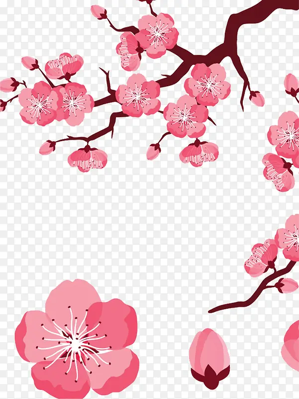 �ֻ��һ�װ�α���-������