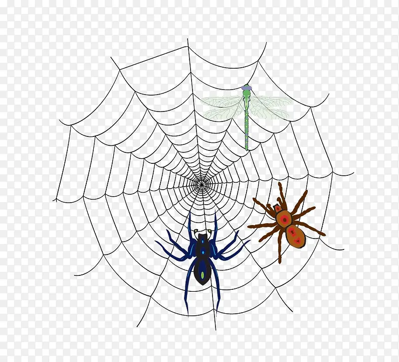 ֩�����ϵ�����-������