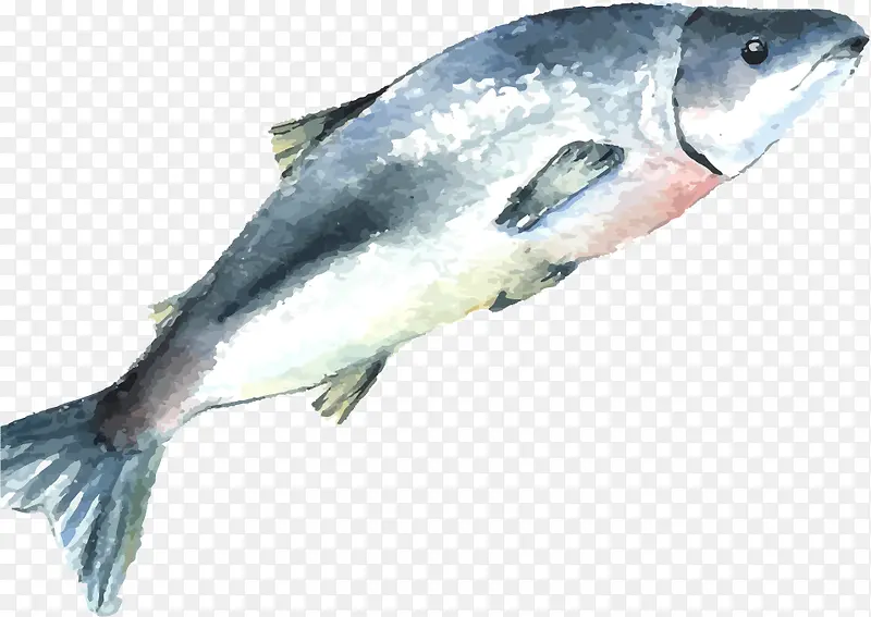 ��ͨ�ֻ�ˮ����-������