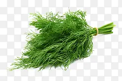 ��ɫ�����ζʳ��-������