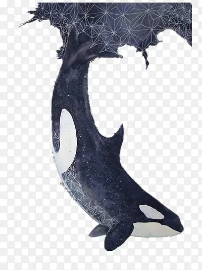 �廭-������