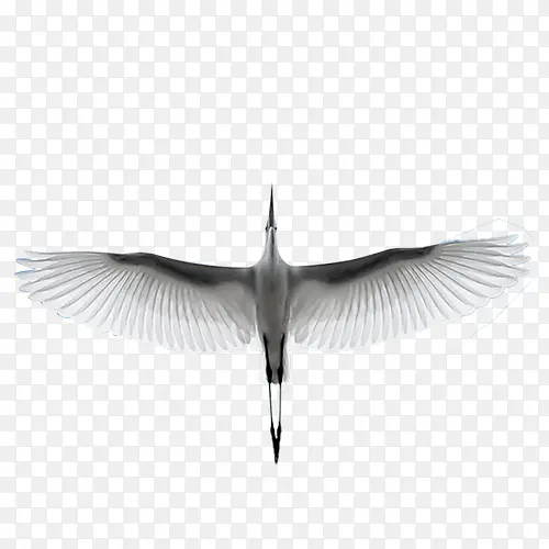 ����İ���-������