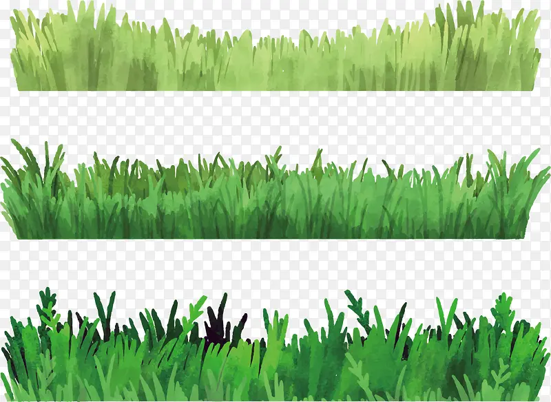 �ݵ���ɫ�������������ز�-������