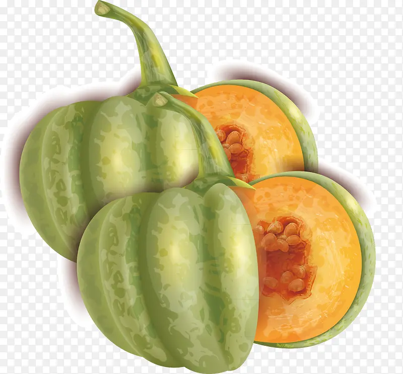 ʳ�｡���������-������