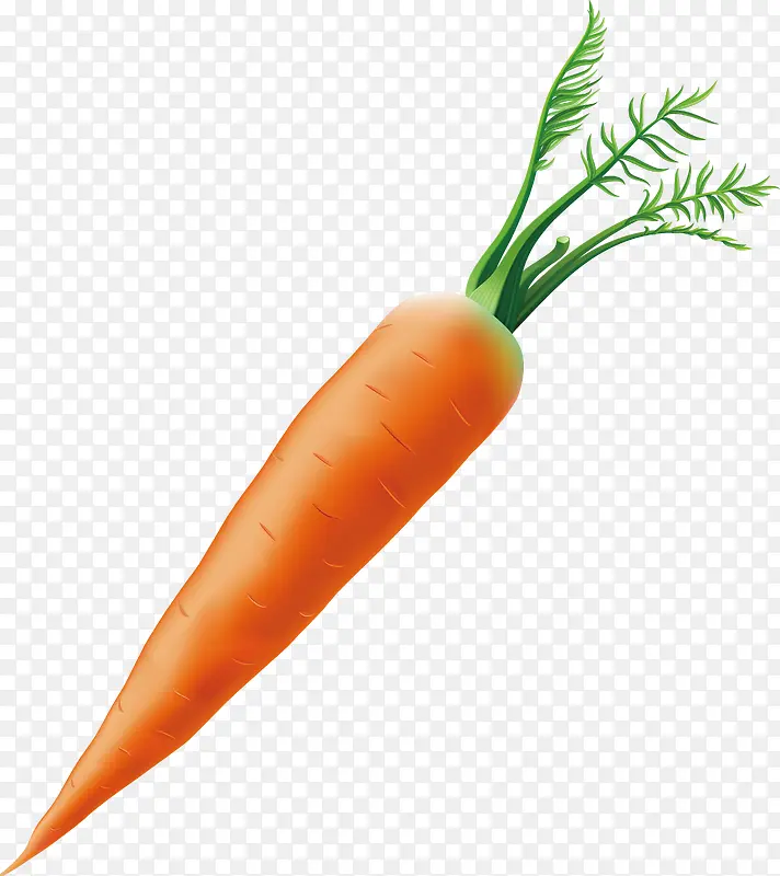 ��Ҷ�ӵĺ��ܲ�Ԫ��-������