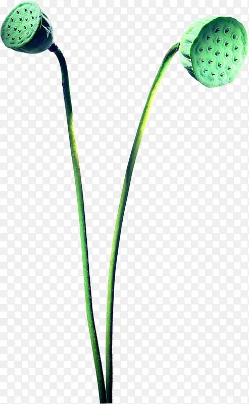 ���崴����Ӱ�ֻ�ֲ������-������