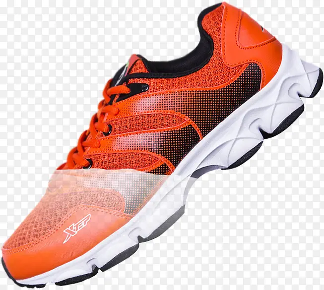 ��Ӱ���è��ʿ�˶�Ь-������