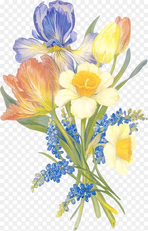 �ֻ��ɫ���仨��-������