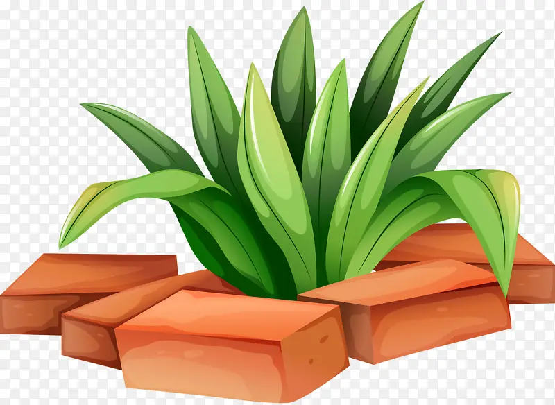 С����שͷ-������