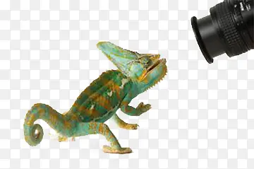 ��ʱ�ɫ��-������