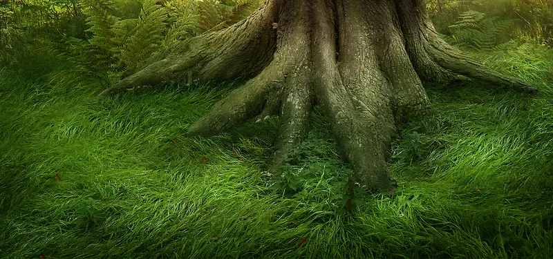 ������Ӱ����-������