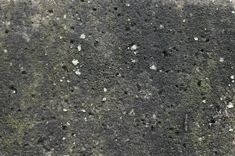 ��������������-������