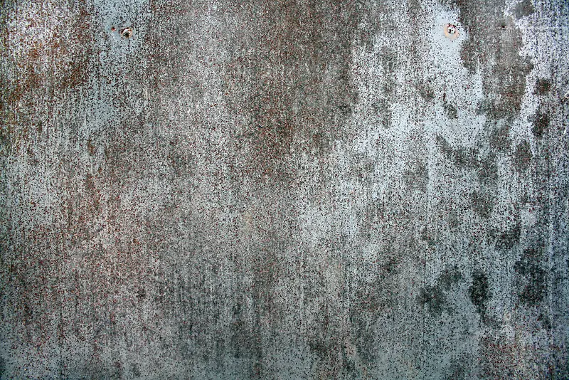 ����ǽ�ڱ���-������