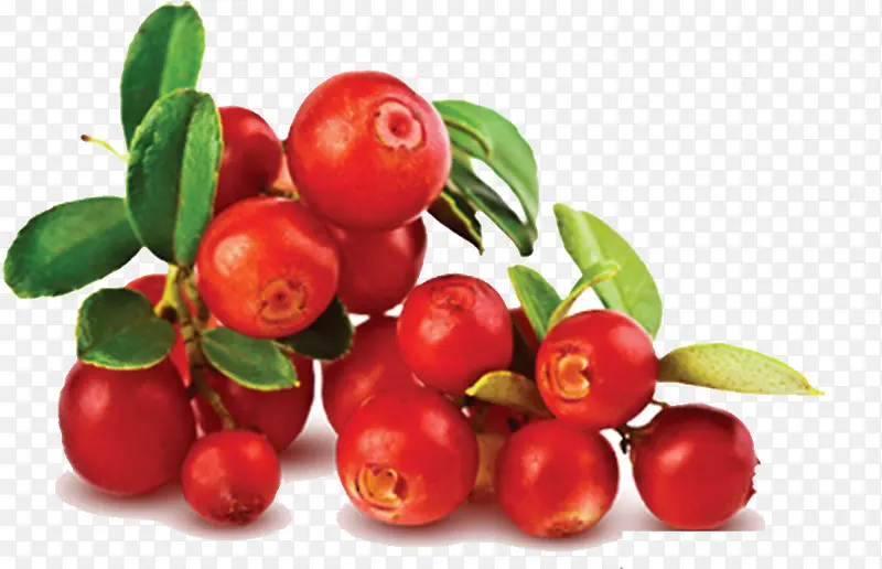 �����ܹ���ʵ���Ʒ-������