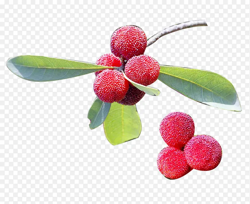 ��÷�ز�-������