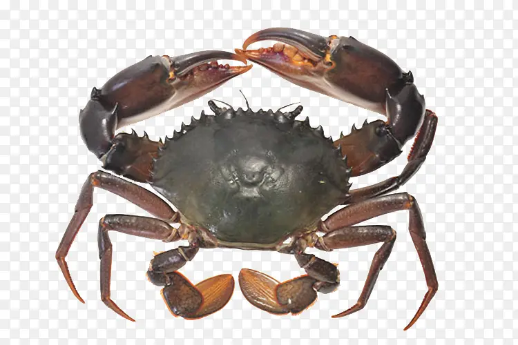 �з-������