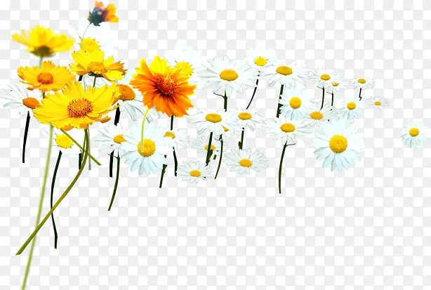 �ư�ɫʱ�л����ͼ-������