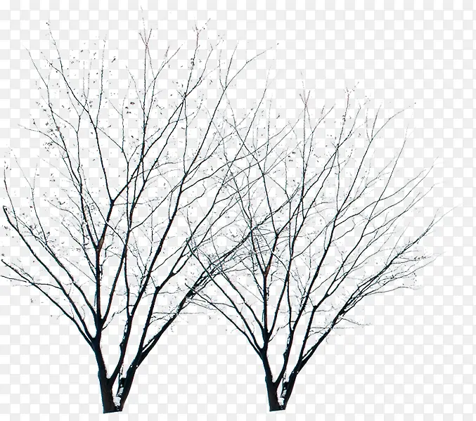 ��֦�����˶�Ь����-������