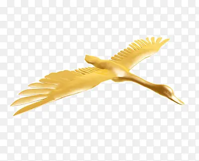 ��ͨ����İ���-������