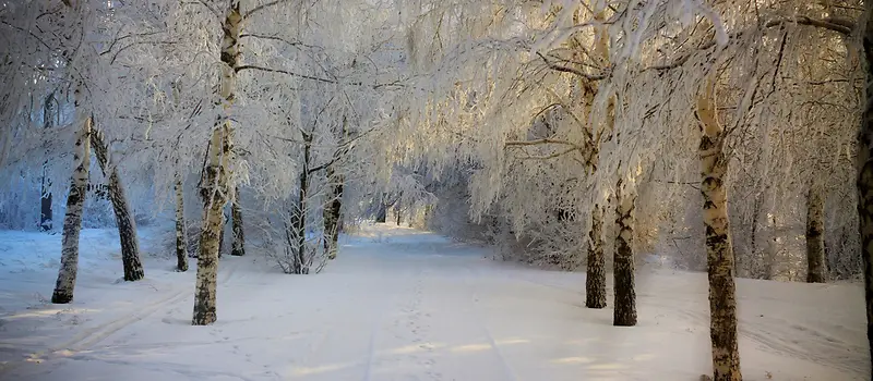 ѩ������-������