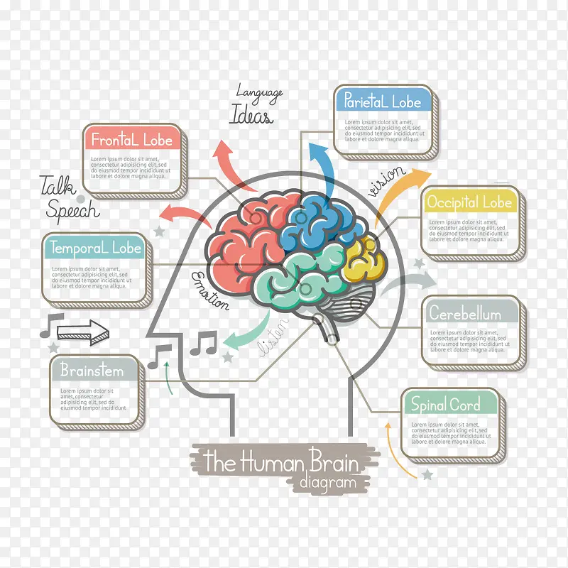 �Բ��˶�-������